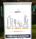 pieswwielkimmiescie_small