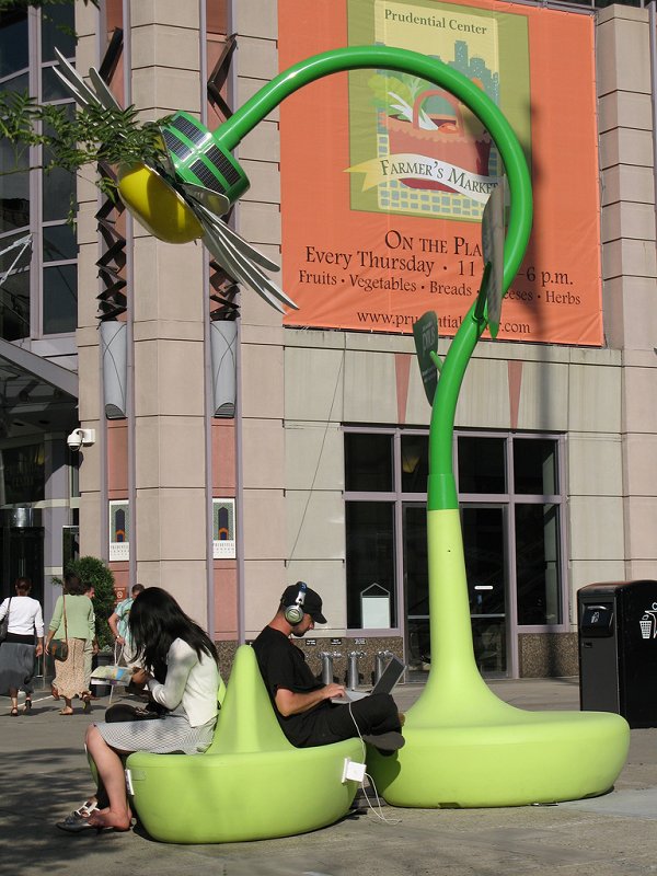 SolarFlowers4_medium