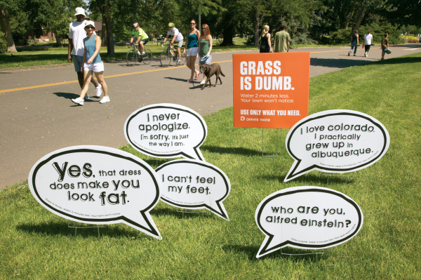 DenverWater_GrassIsDumb