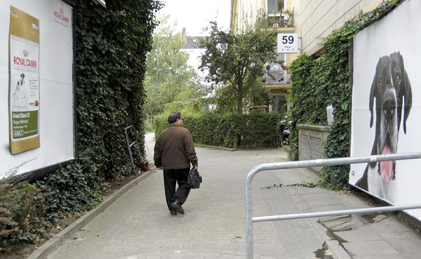 RoyalCaninSliniacySiePies