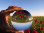 FutureWorld_small